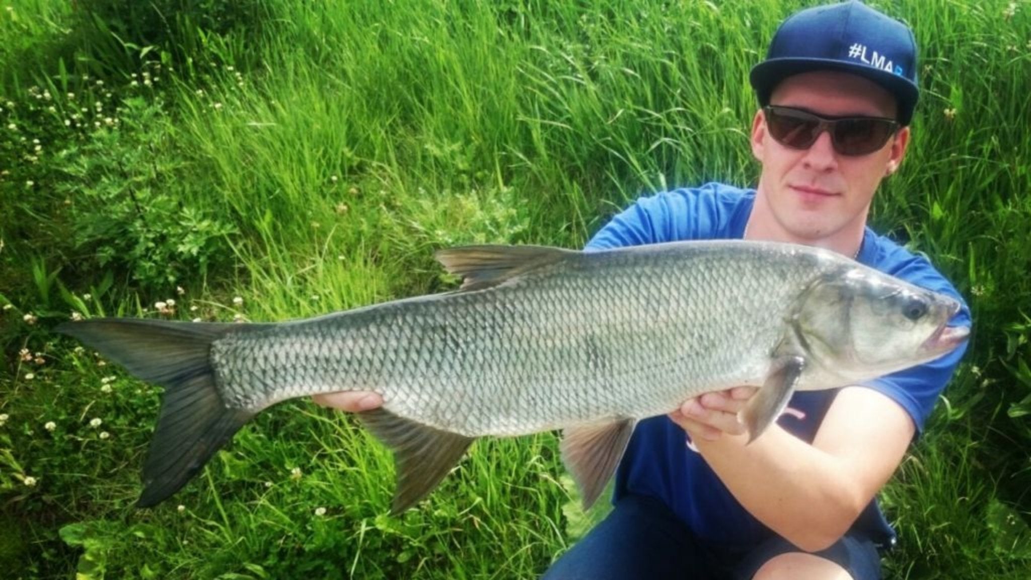 Rapfenangeln: So klappt der Fang! - HechtundBarsch.de