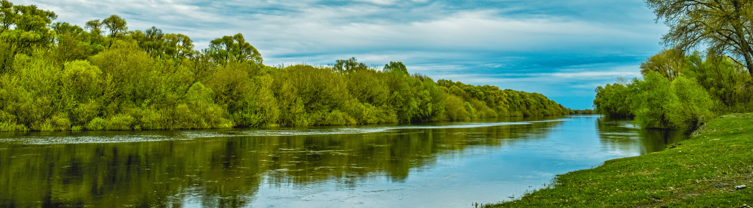 Zander in Österreich bei HechtundBarsch.at