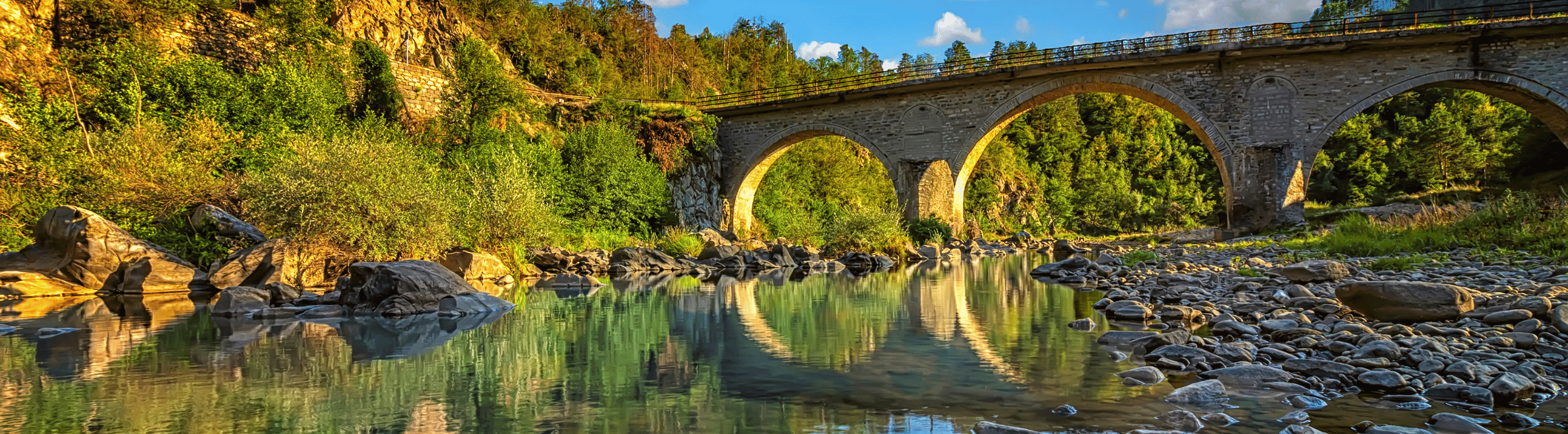 Zielfische in Österreich bei HechtundBarsch.at