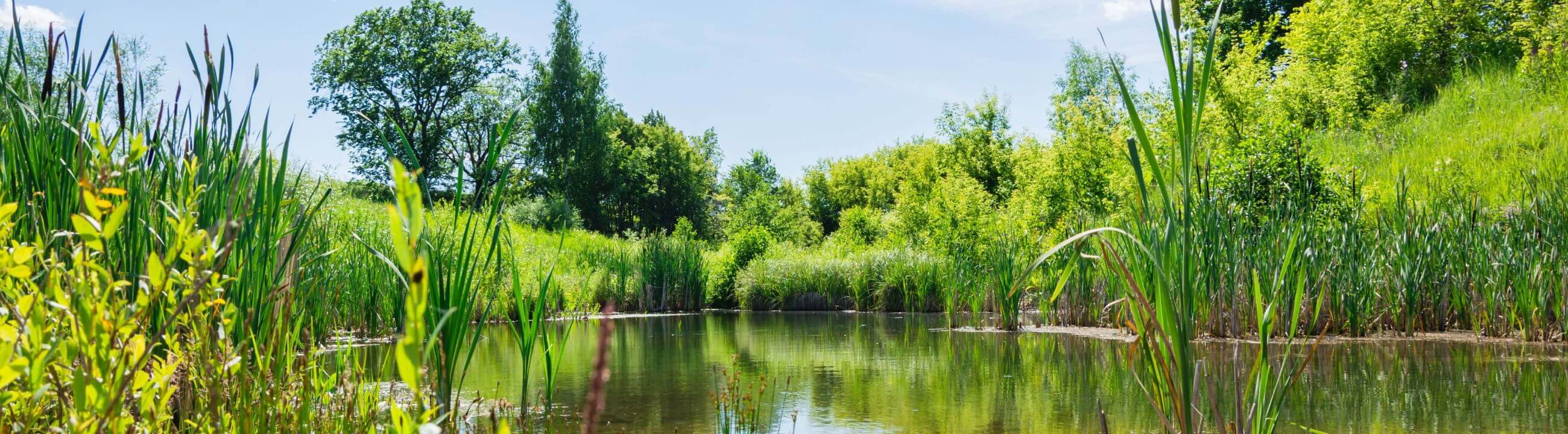 Deadbait Rig in Österreich bei HechtundBarsch.at