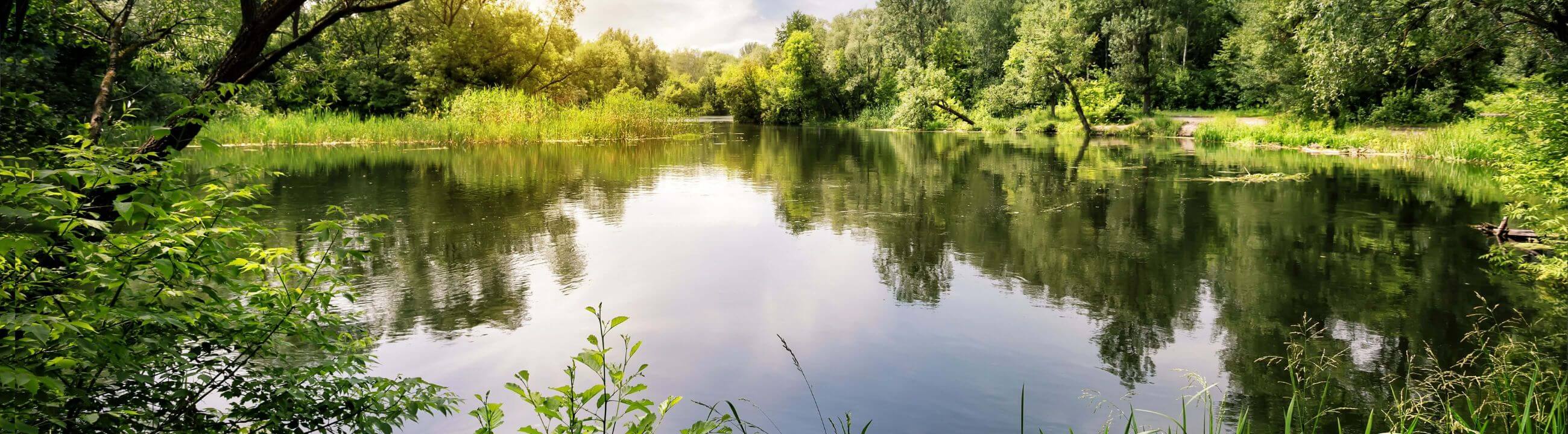 Deadbait Ruten in Österreich bei HechtundBarsch.at