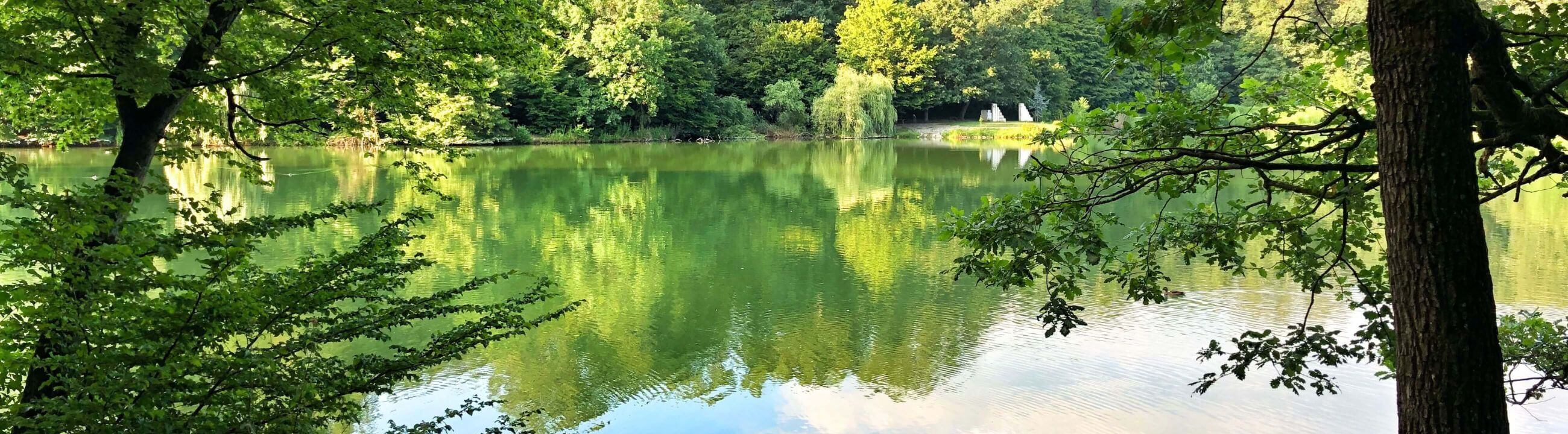 Deadbait Zubehör in Österreich bei HechtundBarsch.at