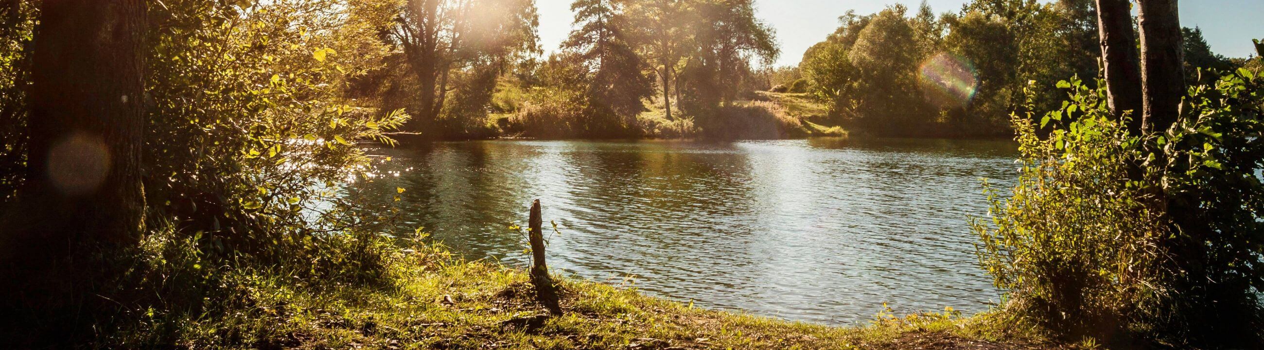 Deadbait Haken in Österreich bei HechtundBarsch.at
