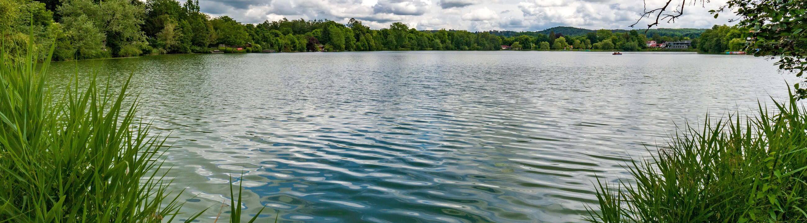 Deadbait Rollen in Österreich bei HechtundBarsch.at