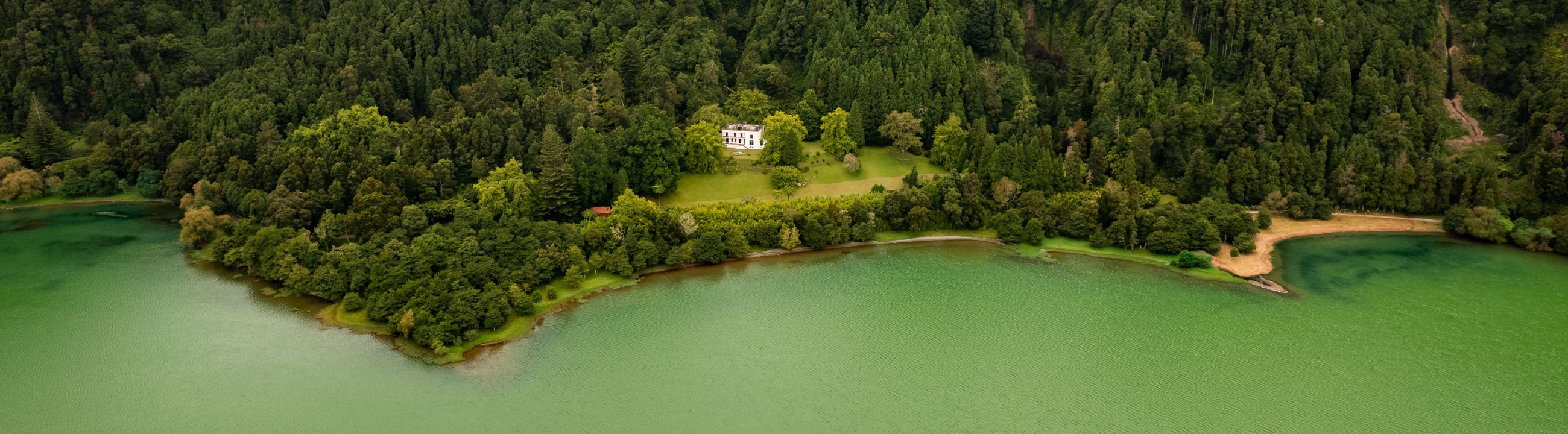 Flipping / Punching Hook in Österreich bei HechtundBarsch.at