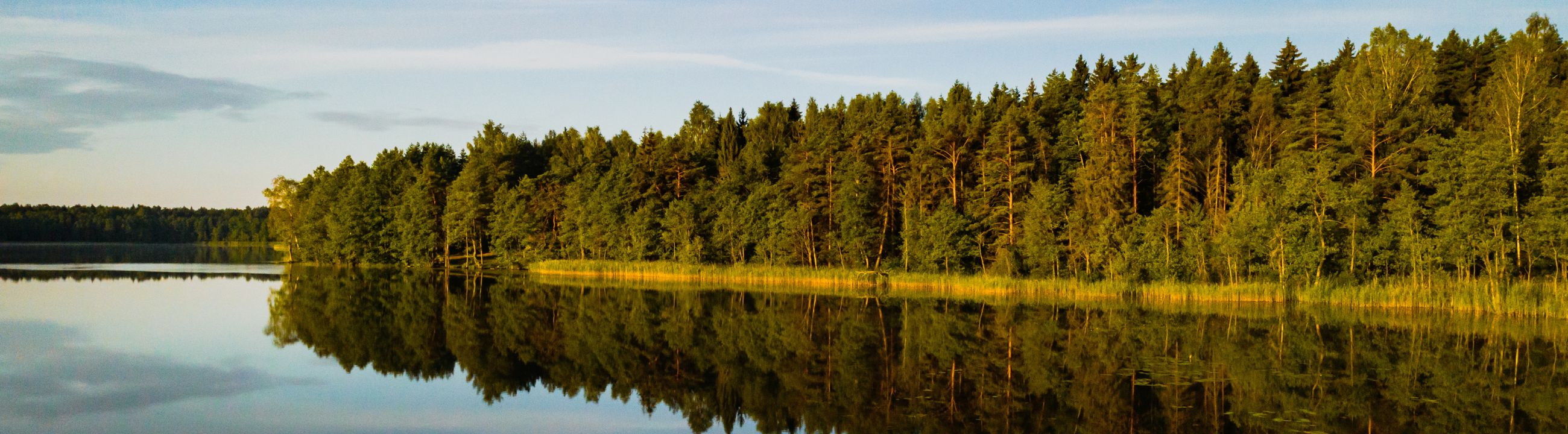 Tungsten Gewichte in Österreich bei HechtundBarsch.at