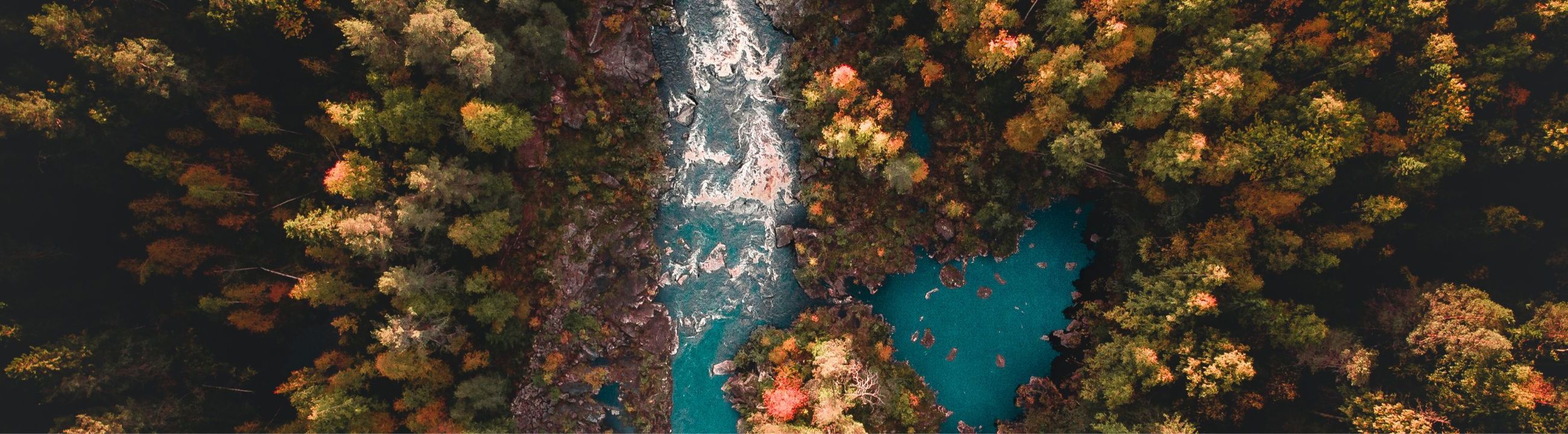 Rapala Zubehör in Österreich bei HechtundBarsch.at