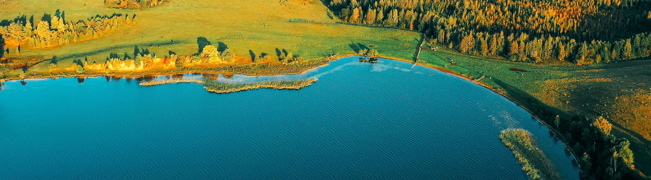Rapfenköder in Österreich bei HechtundBarsch.at