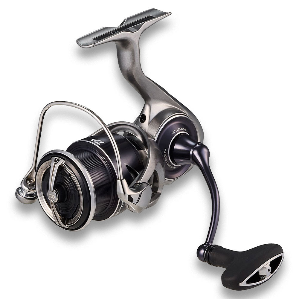 Daiwa-25-Caldia-Dynamisch