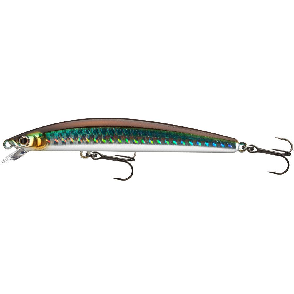 Daiwa Tournament TN Minnow 95SP und 120SP Kibinago