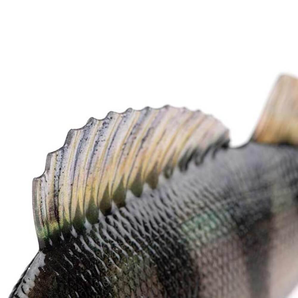 Fox Rage Ultra Realistic Perch Replicant 10 cm / 14 cm Detailbild Rücken