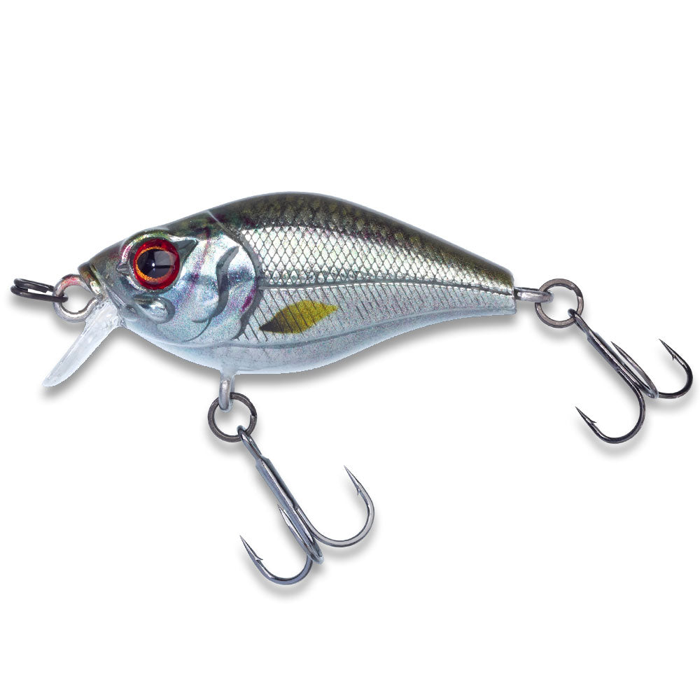 Illex-Magic-Crank-40-SR-Roach