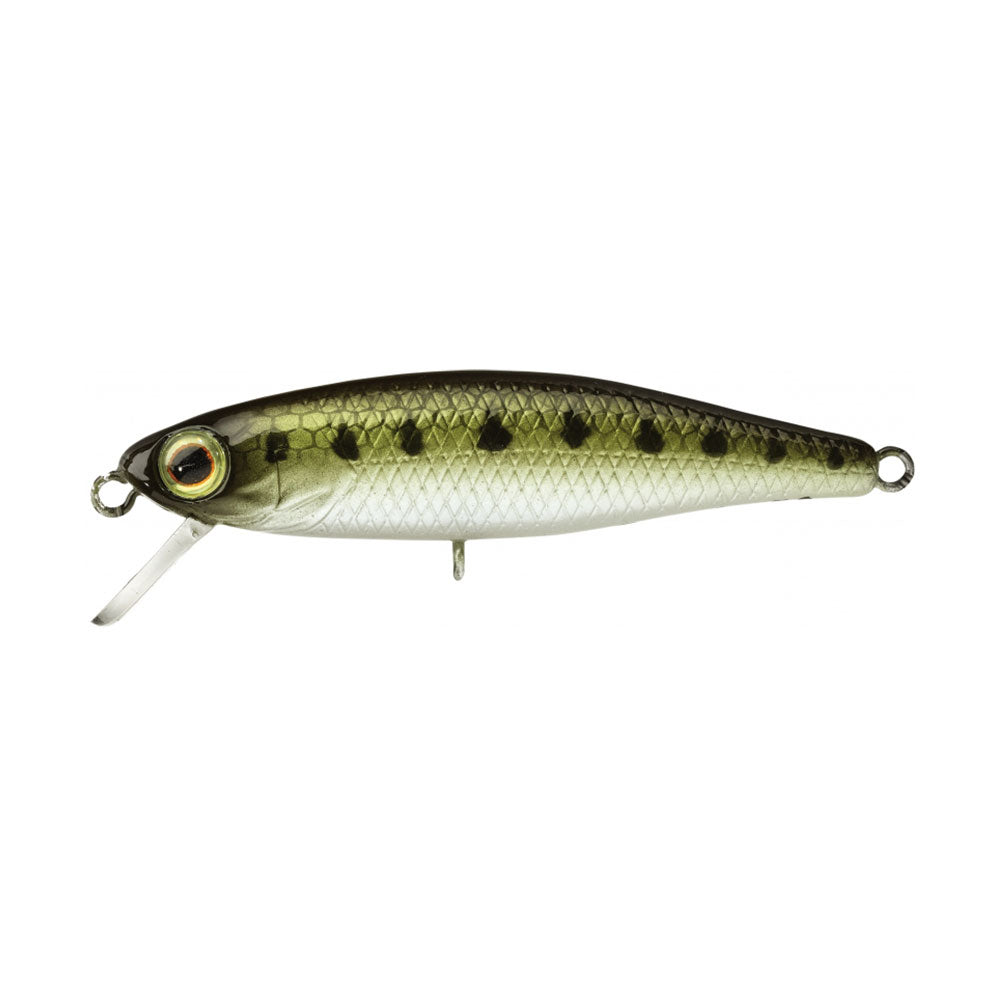 Illex Tiny Fry 38 SP Goujon