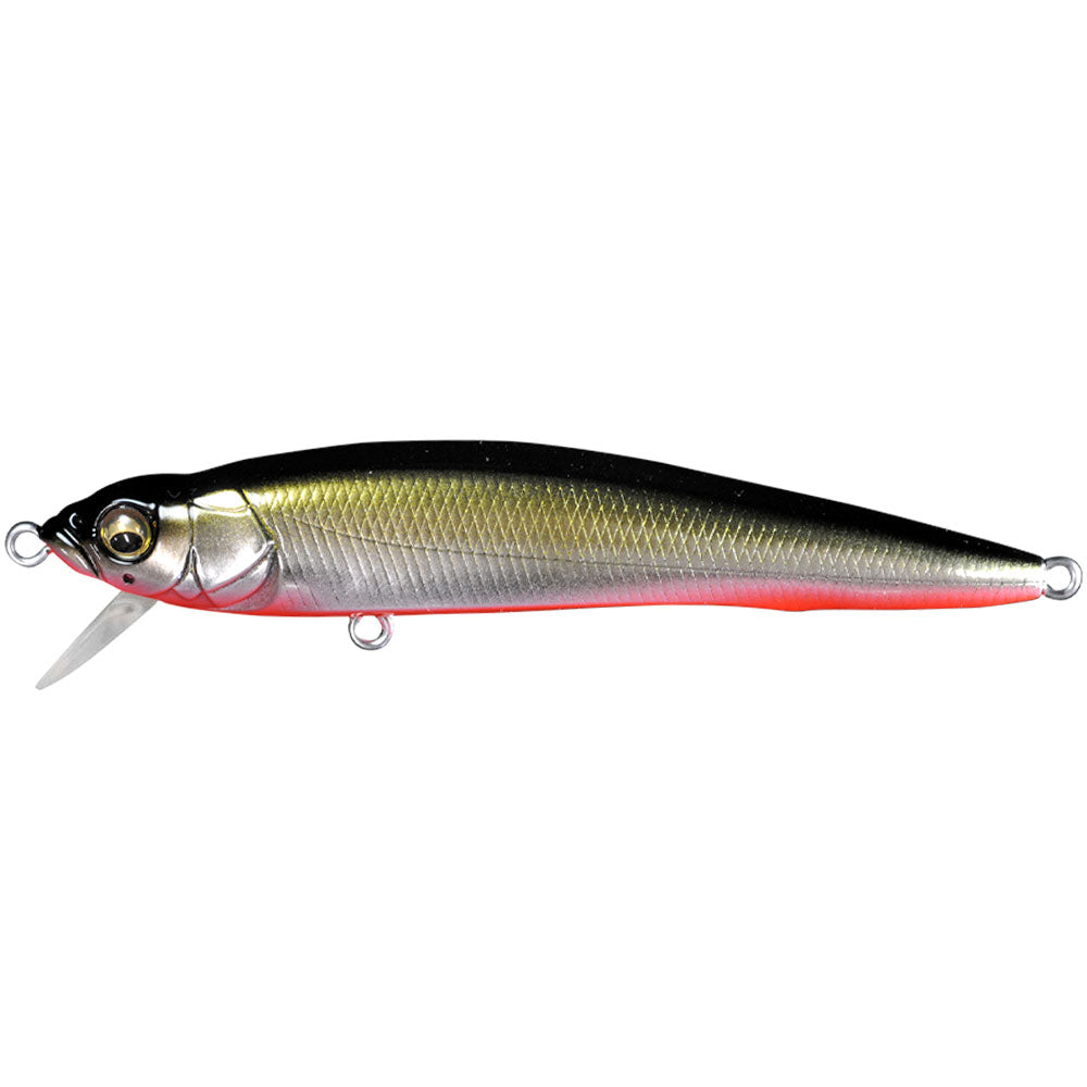 Megabass FX9 bei HechtundBarsch.at