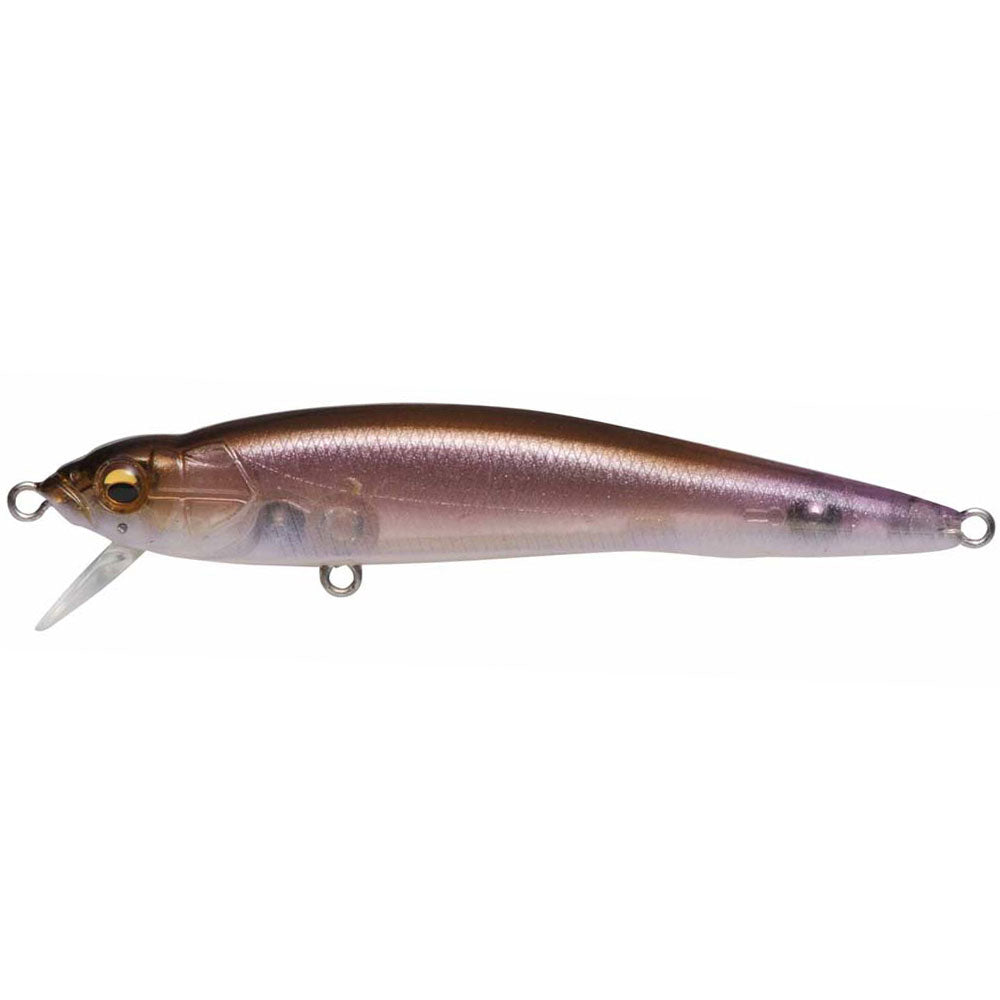 Megabass FX9 bei HechtundBarsch.at