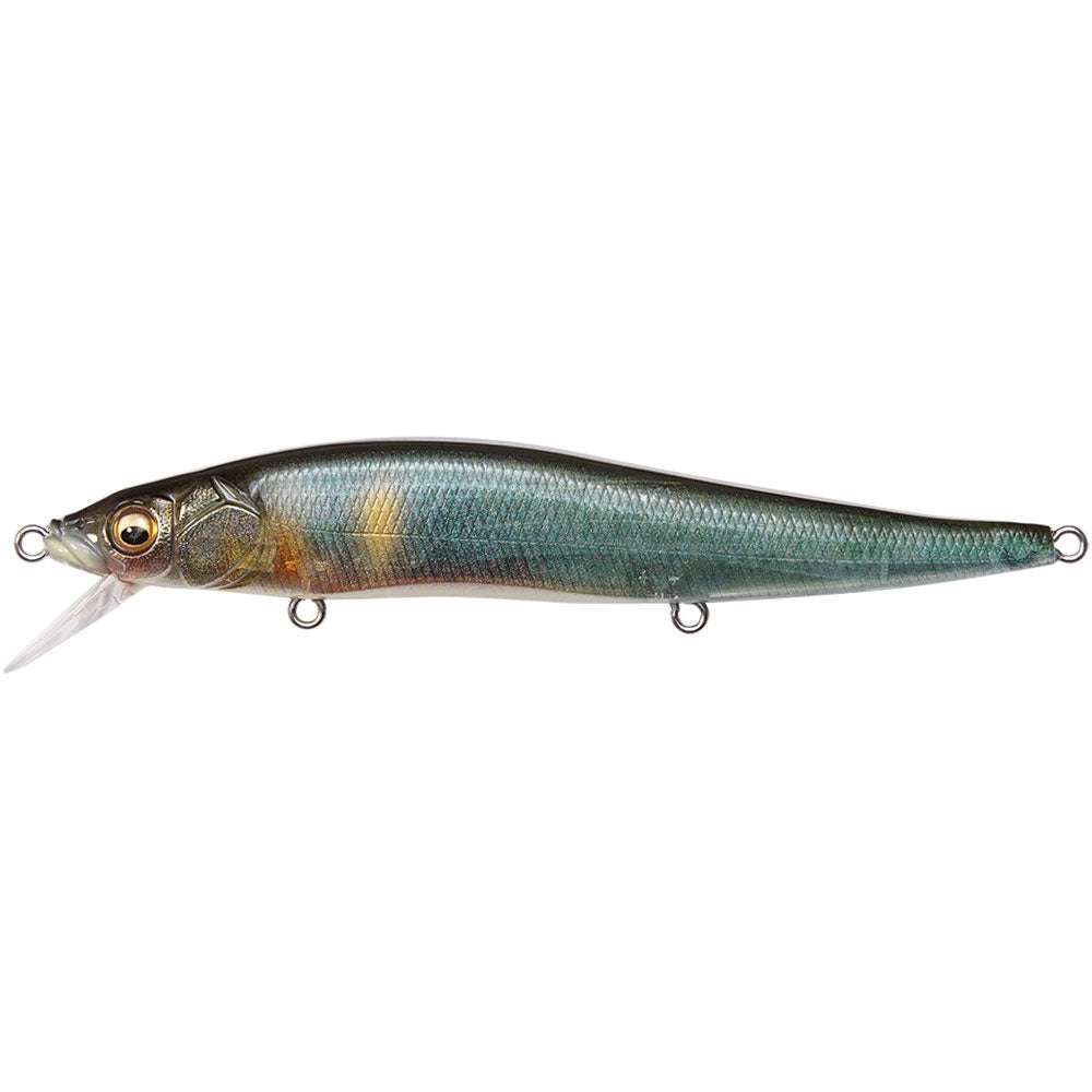 Megabass Vision OneTen bei HechtundBarsch.at