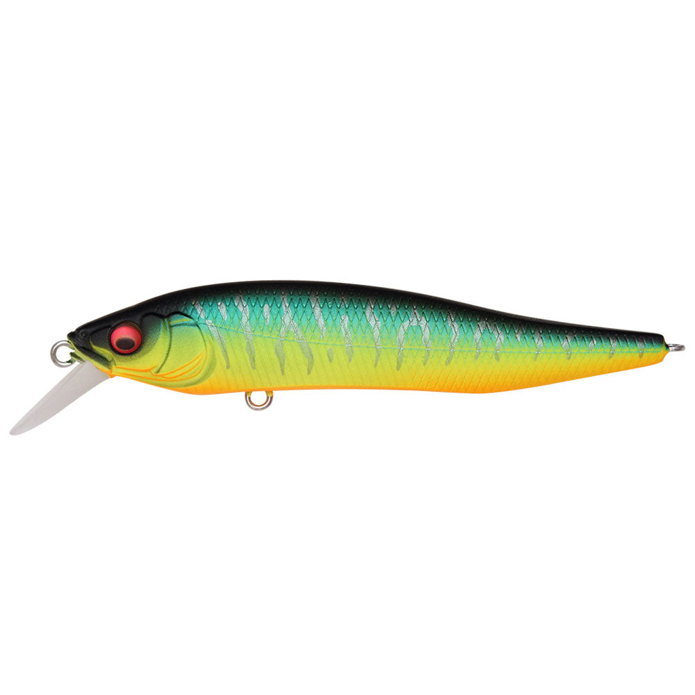 Megabass X-75 Nanahan bei HechtundBarsch.at