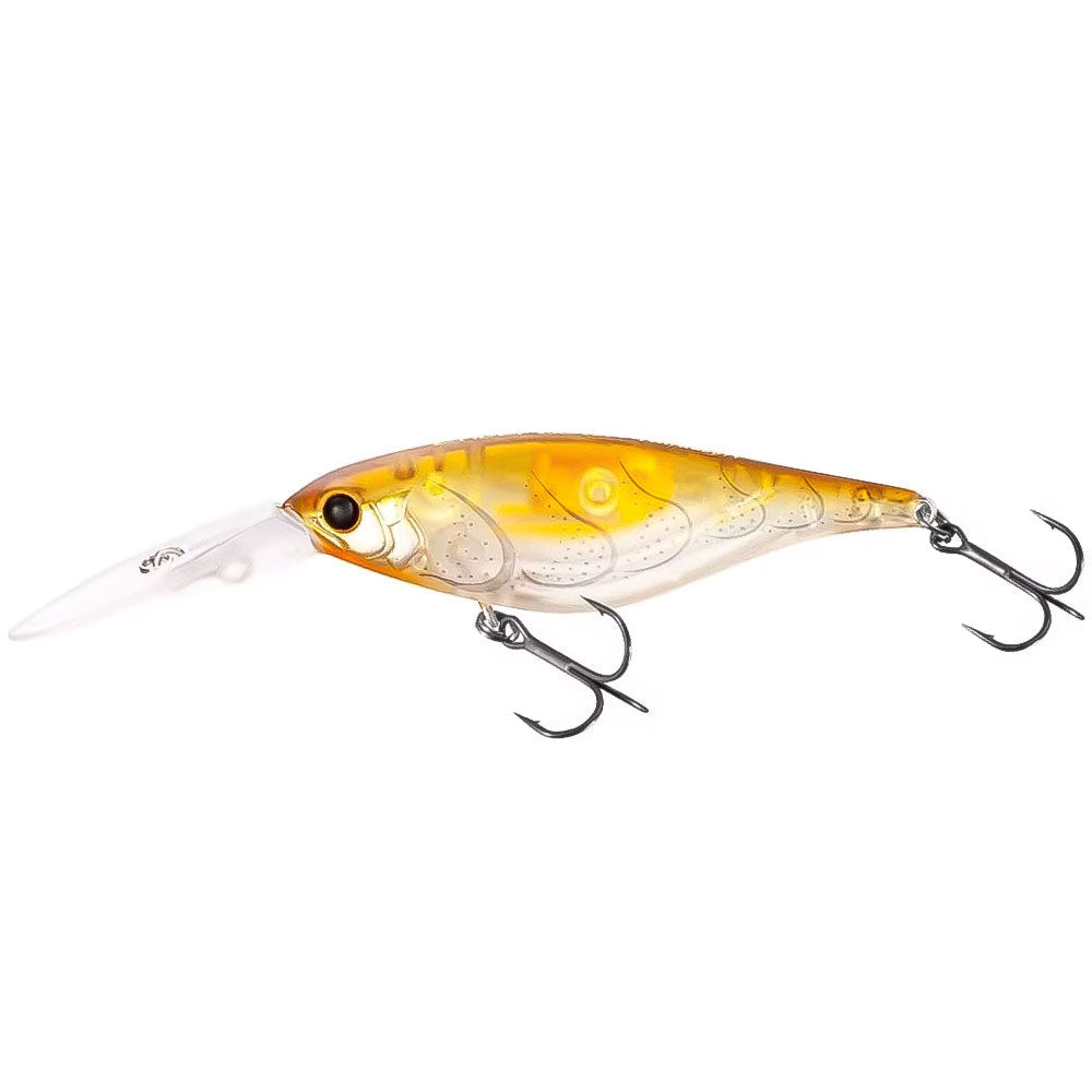 Shimano Bantam Enber 60SP Flashboost Moebi