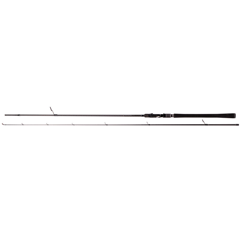 Zeck Peak JG 2 240 cm 10 40 g