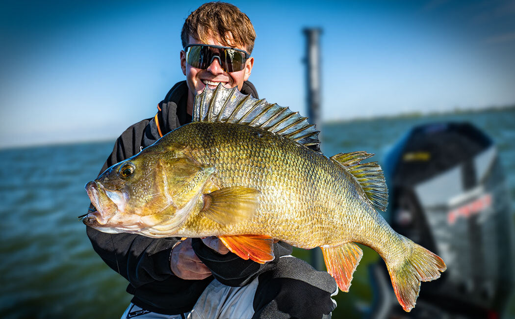 Zielfisch-Barsch-Alles zum Barschangeln