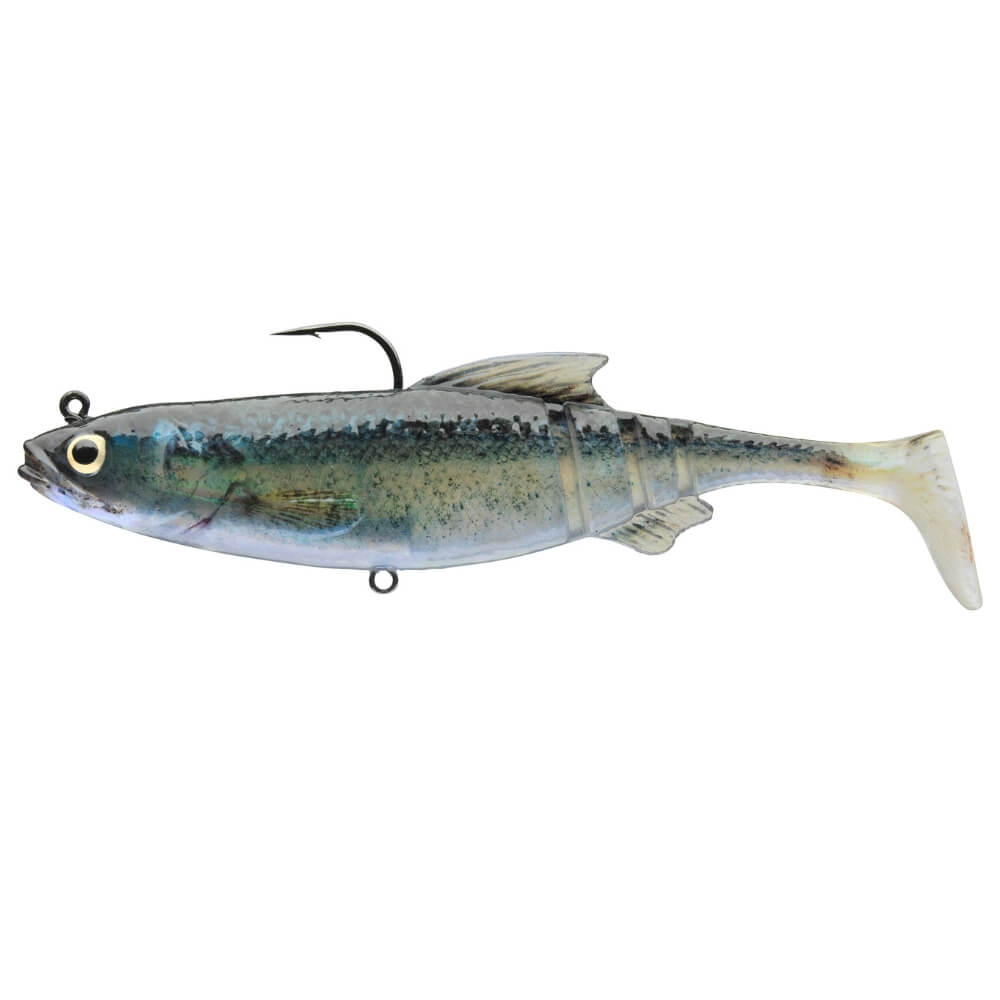 Daiwa Prorex Lazy Roach RD Baby Zander