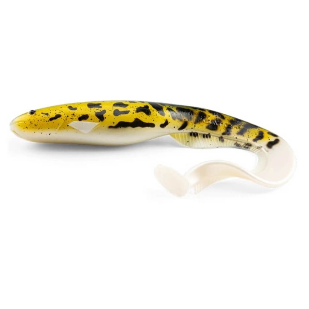 Gator Catfish Natural Burbot