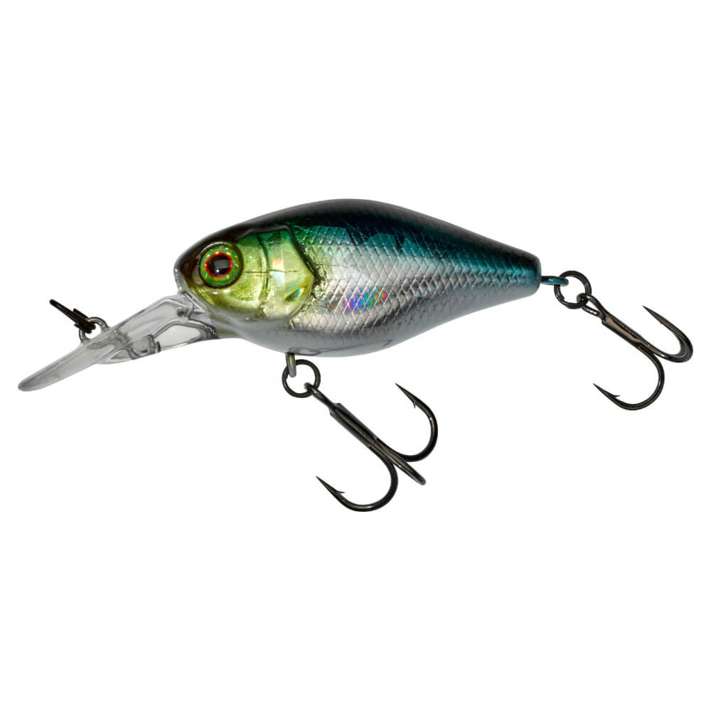 Jackall Chubby 41 MR bei HechtundBarsch.at