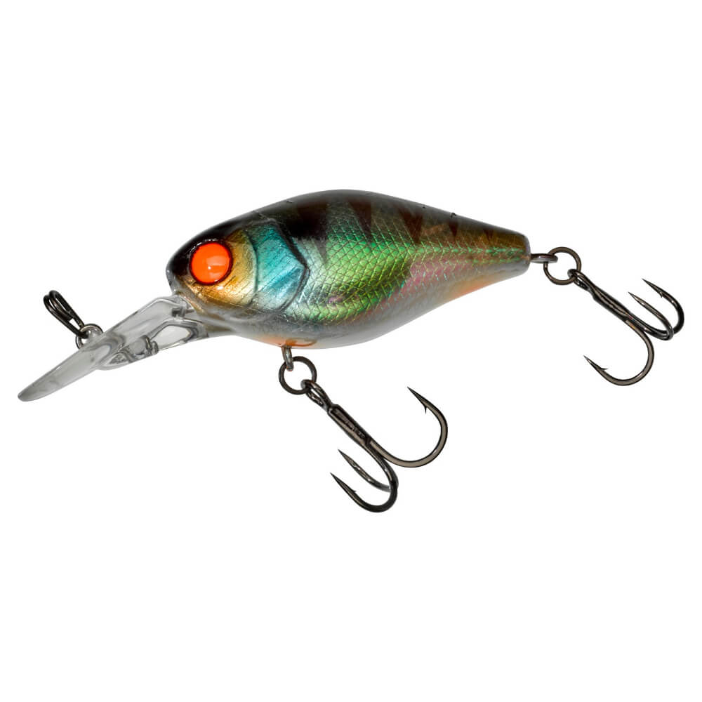 Jackall Chubby 41 MR bei HechtundBarsch.at