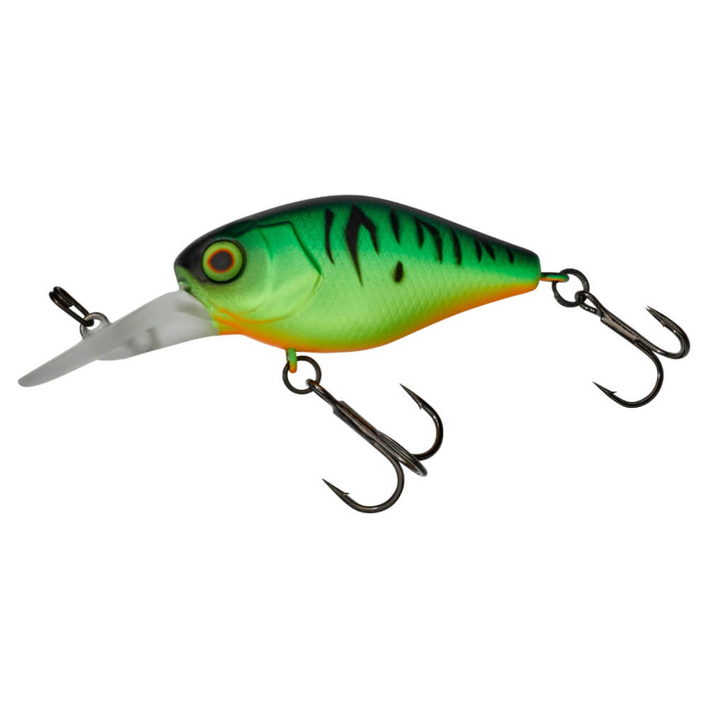 Jackall Chubby 41 MR bei HechtundBarsch.at