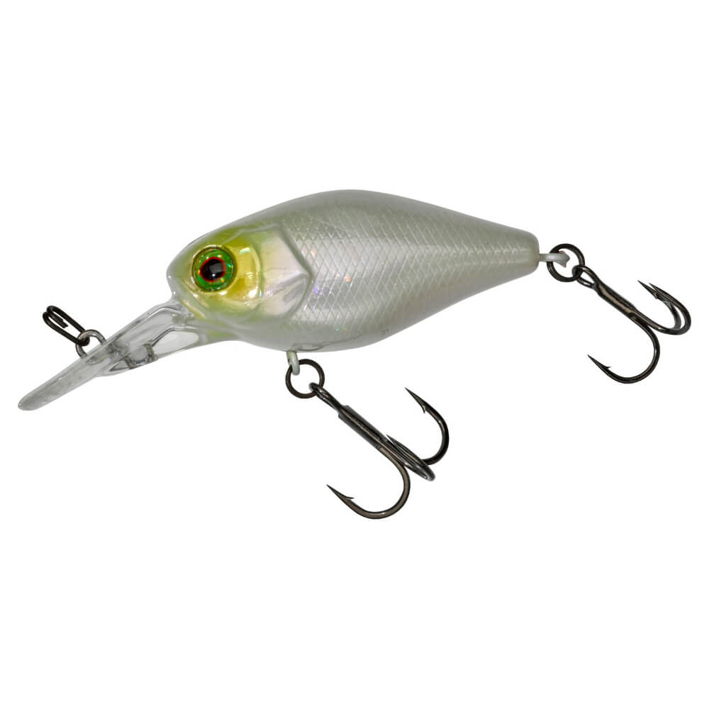 Jackall Chubby 41 MR bei HechtundBarsch.at