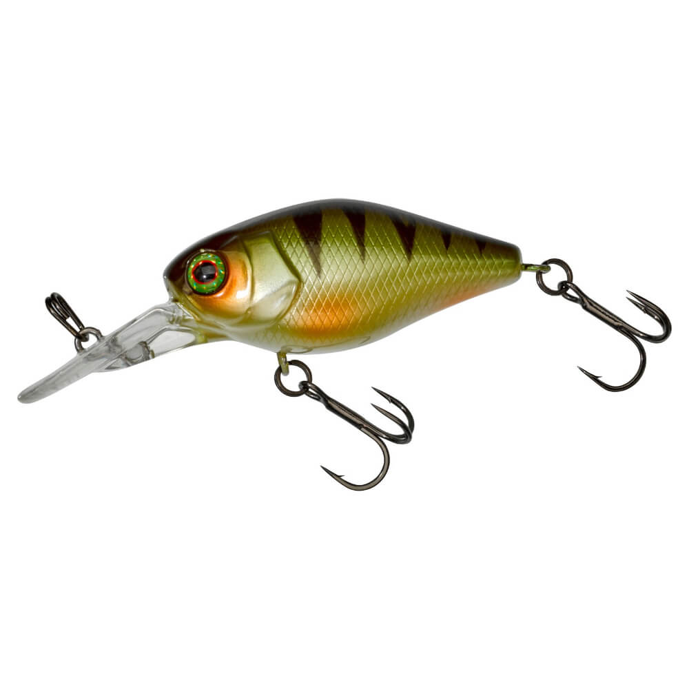 Jackall Chubby 41 MR bei HechtundBarsch.at