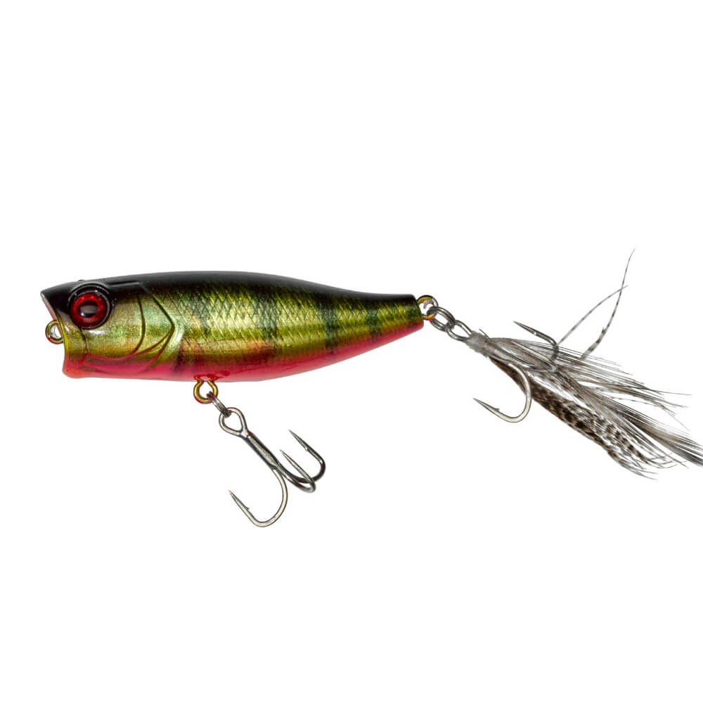 Jackall Chubby Popper 42 bei HechtundBarsch.at