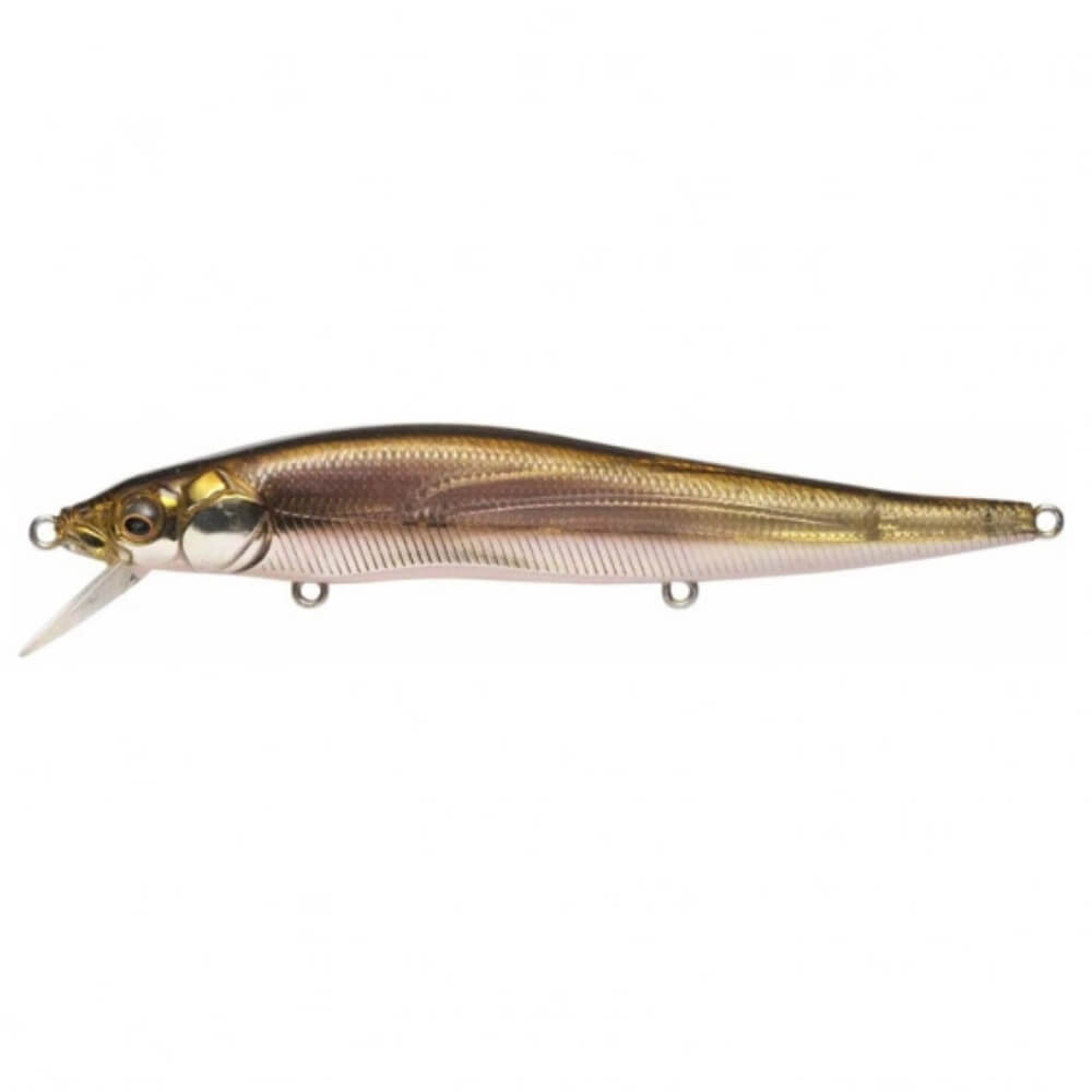Megabass Vision OneTen bei HechtundBarsch.at