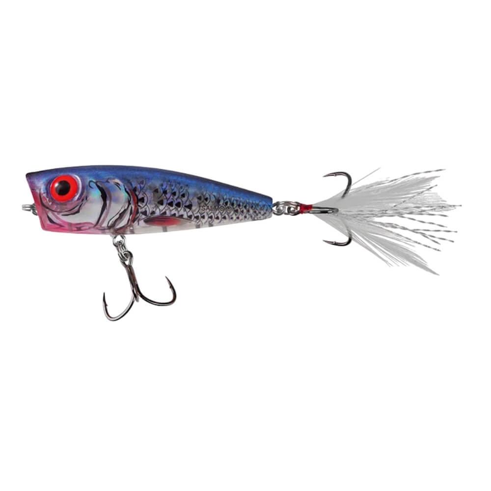 Salmo Rattlin' Pop bei HechtundBarsch.at