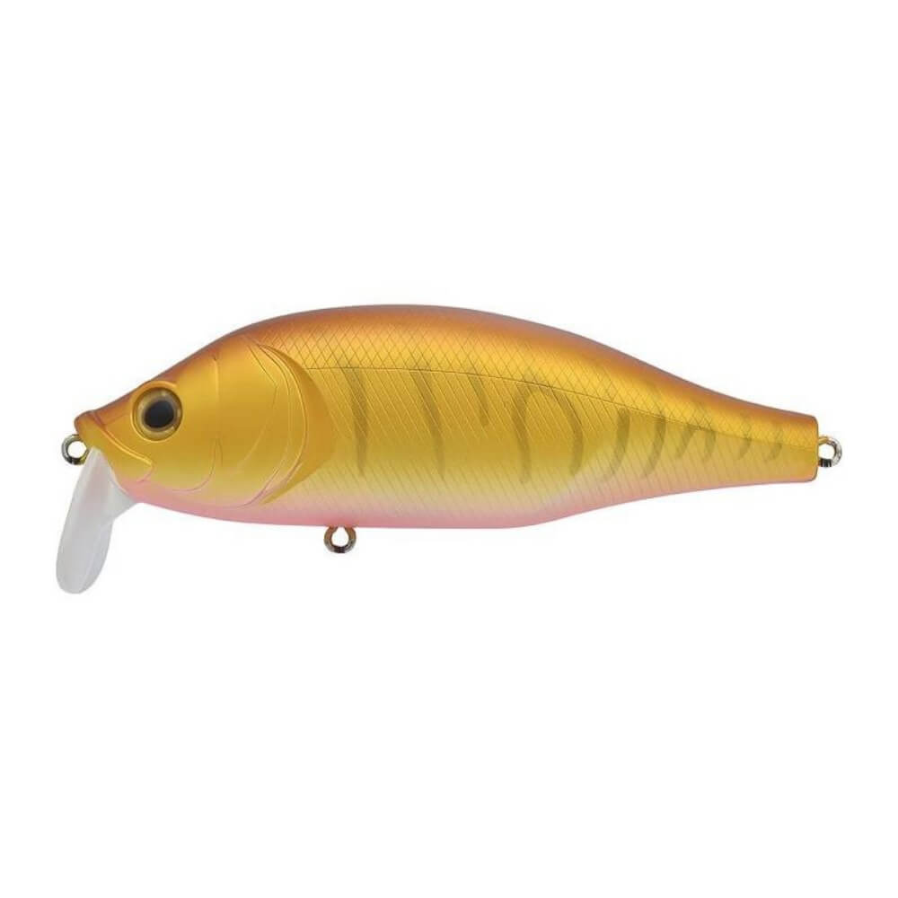 Xorus Dango 120 SR bei HechtundBarsch.at