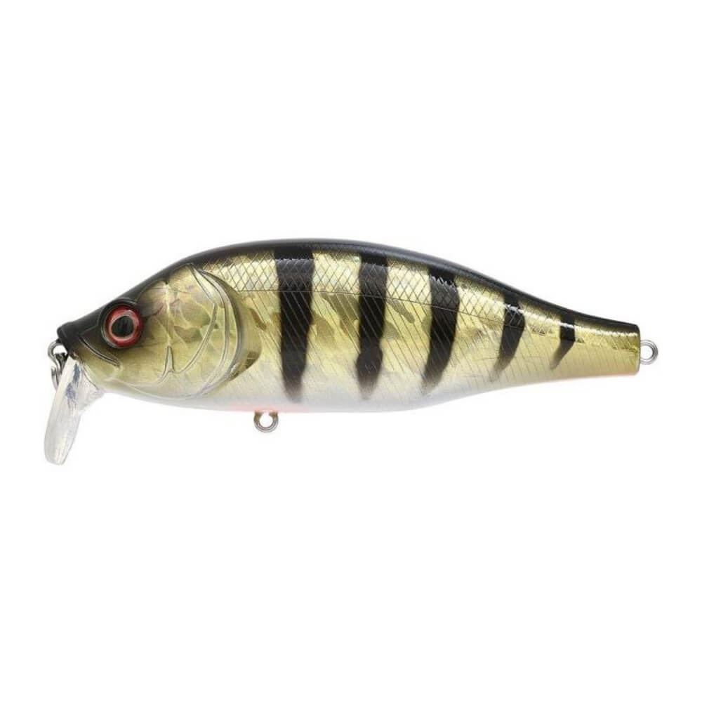 Xorus Dango 120 SR bei HechtundBarsch.at