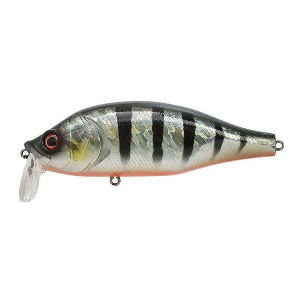 Xorus Dango 120 SR bei HechtundBarsch.at