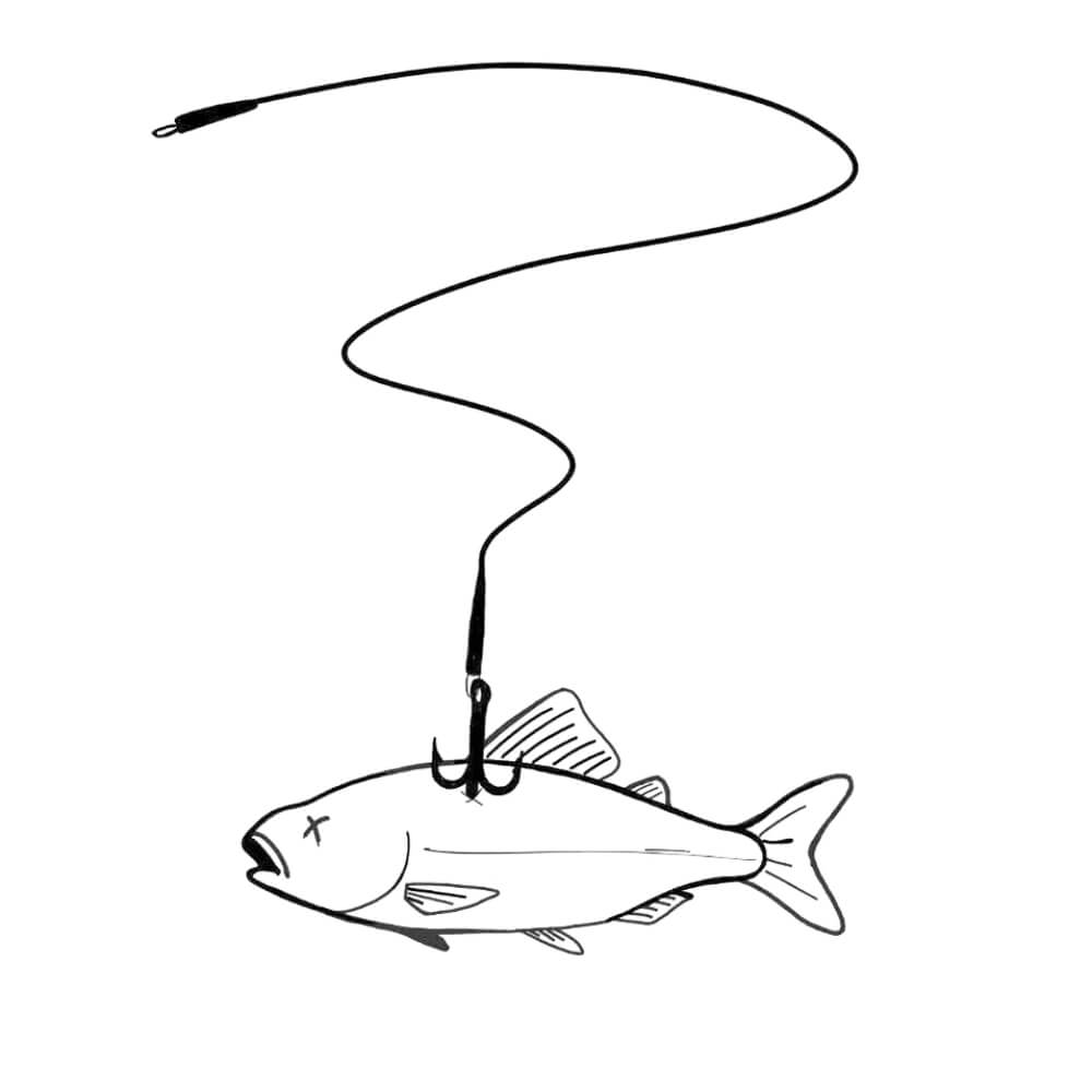 Zeck DB Treble Rig #6 / #4 / #2 Skizze