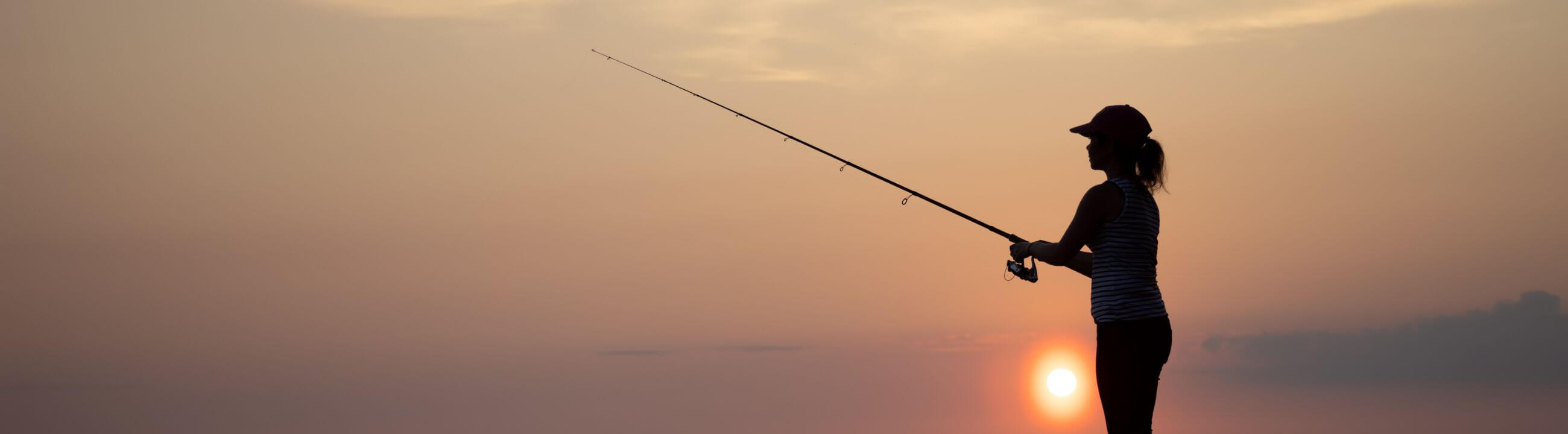 Angelruten bis 270 cm in Österreich bei HechtundBarsch.at