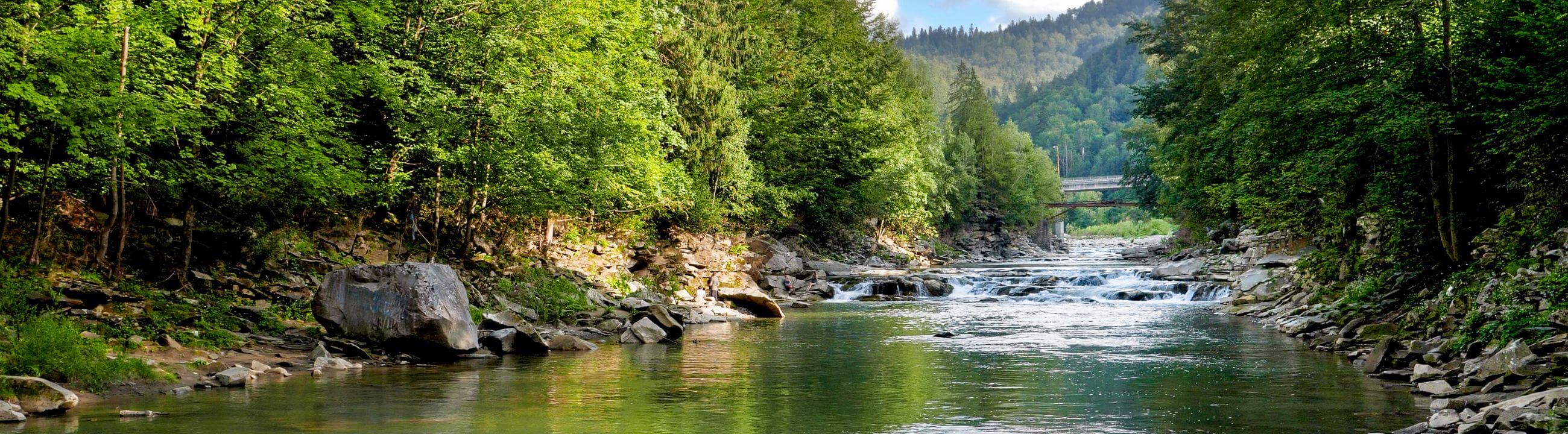 Angelruten mit Extra Fast Aktion in Österreich bei HechtundBarsch.at