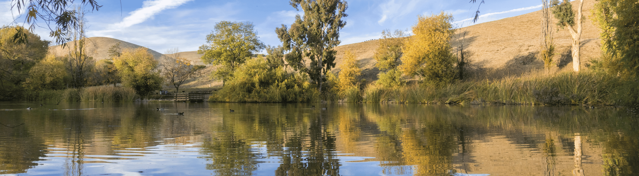 Big L Ersatzteile Collection Banner