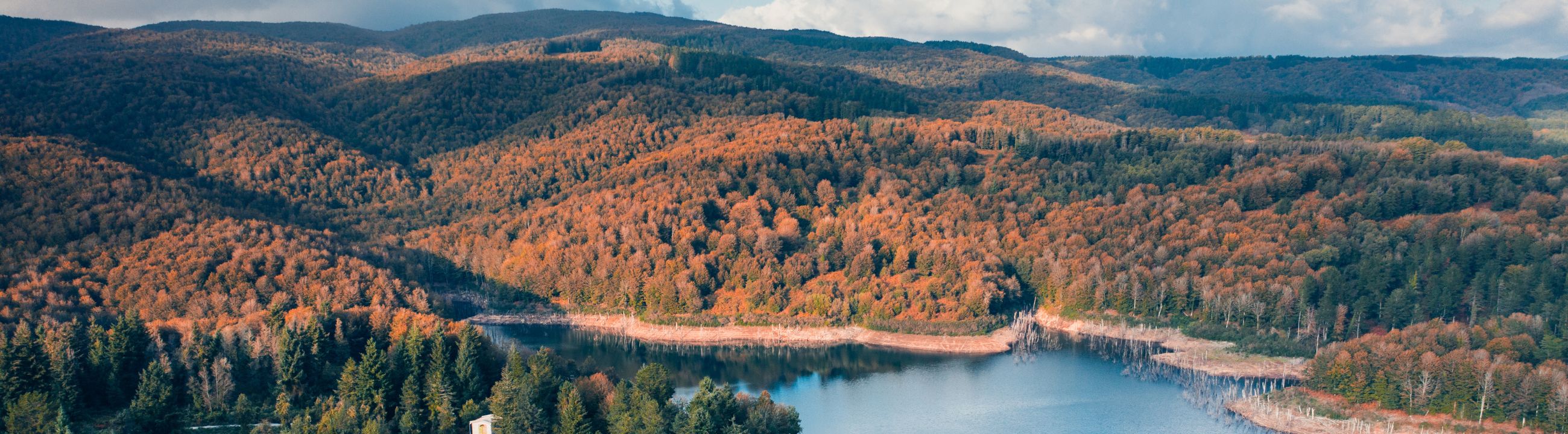 Cheburashka Gewicht &amp; Flex Heads in Österreich bei HechtundBarsch.at