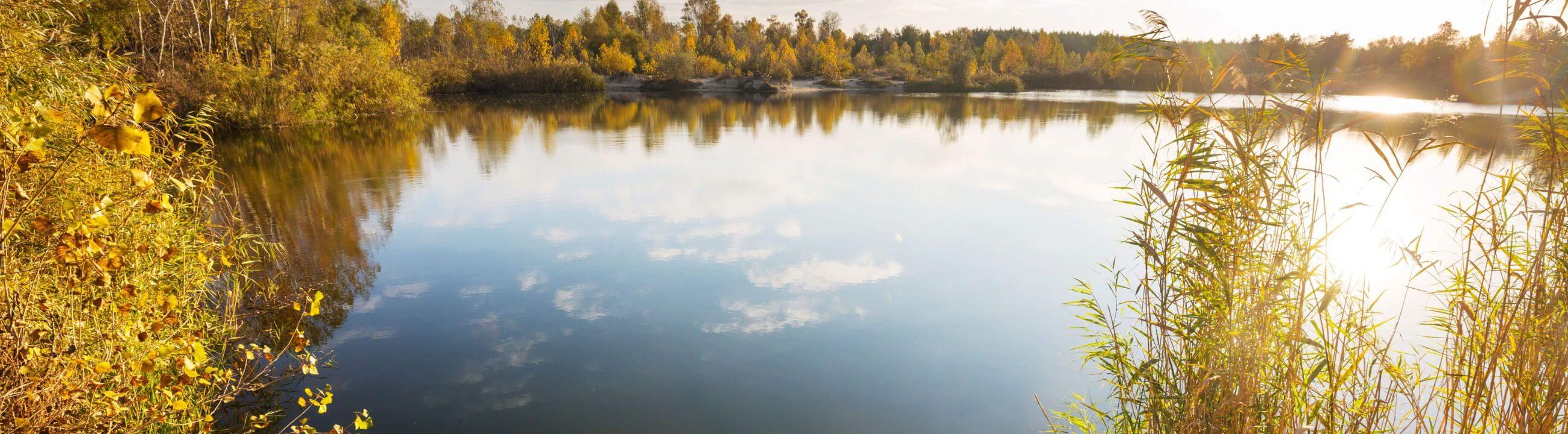 Deadbait Hakensysteme in Österreich bei HechtundBarsch.at