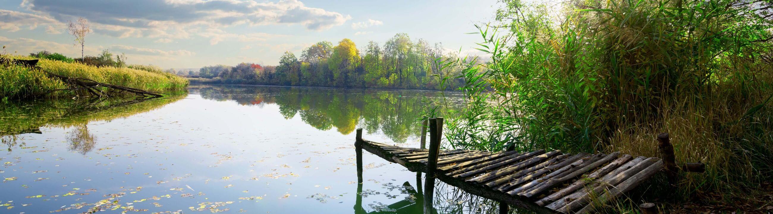 Deadbait Kescher in Österreich bei HechtundBarsch.at