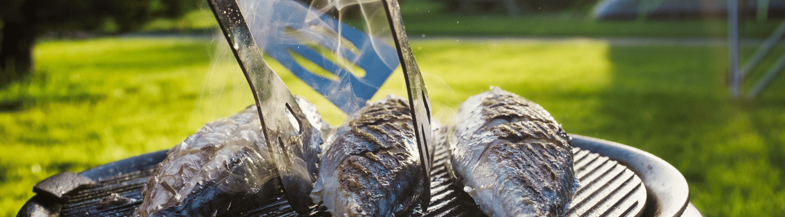 Catch &amp; Cook in Österreich bei HechtundBarsch.at