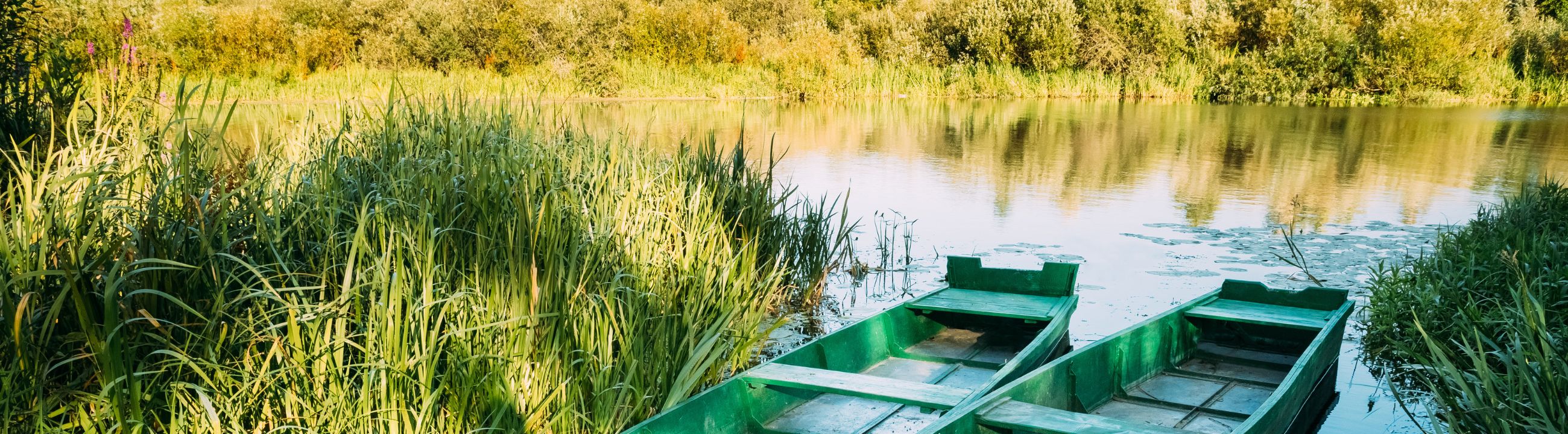 Chatterbaits für Barsch in Österreich bei HechtundBarsch.at