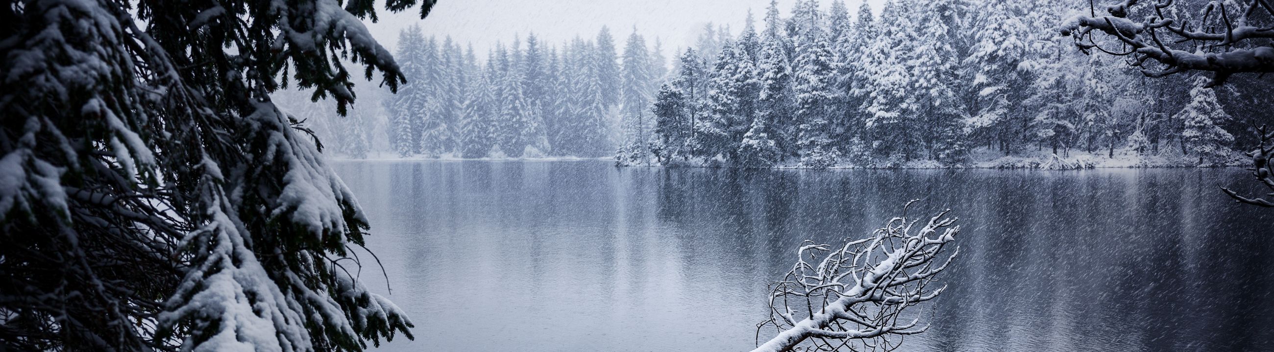 Rasseln in Österreich bei HechtundBarsch.at
