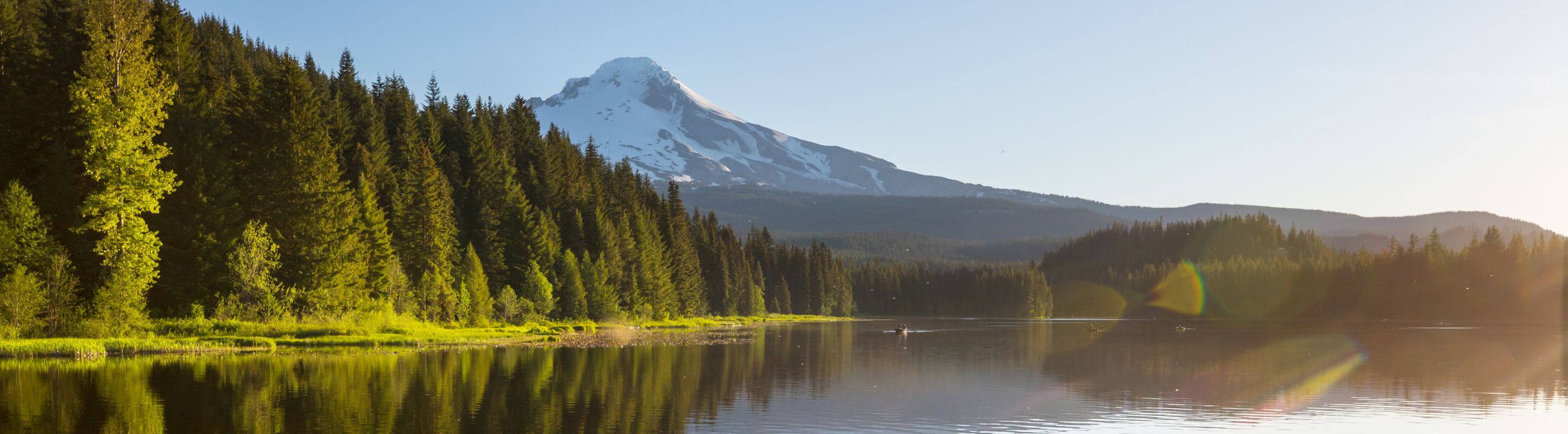 Reinigung & Pflege für Angelrollen