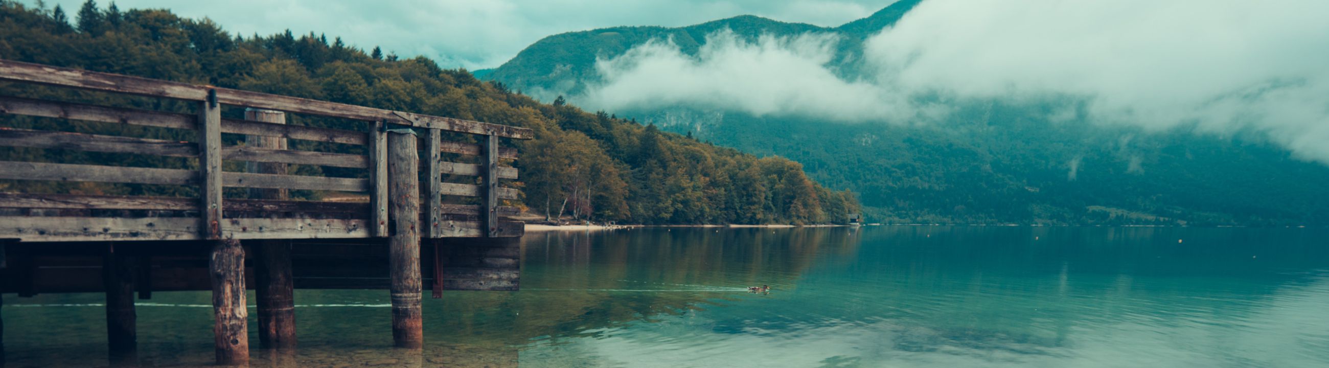 Rollenschutz in Österreich bei HechtundBarsch.at