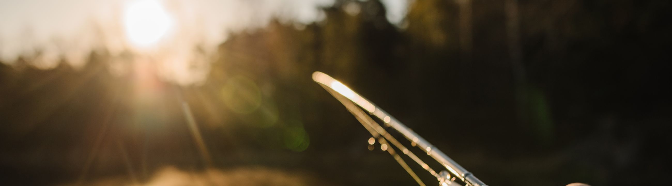 Ruten nach Zielfisch